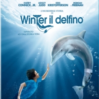 l-incredibile-storia-di-winter-il-delfino_thumb