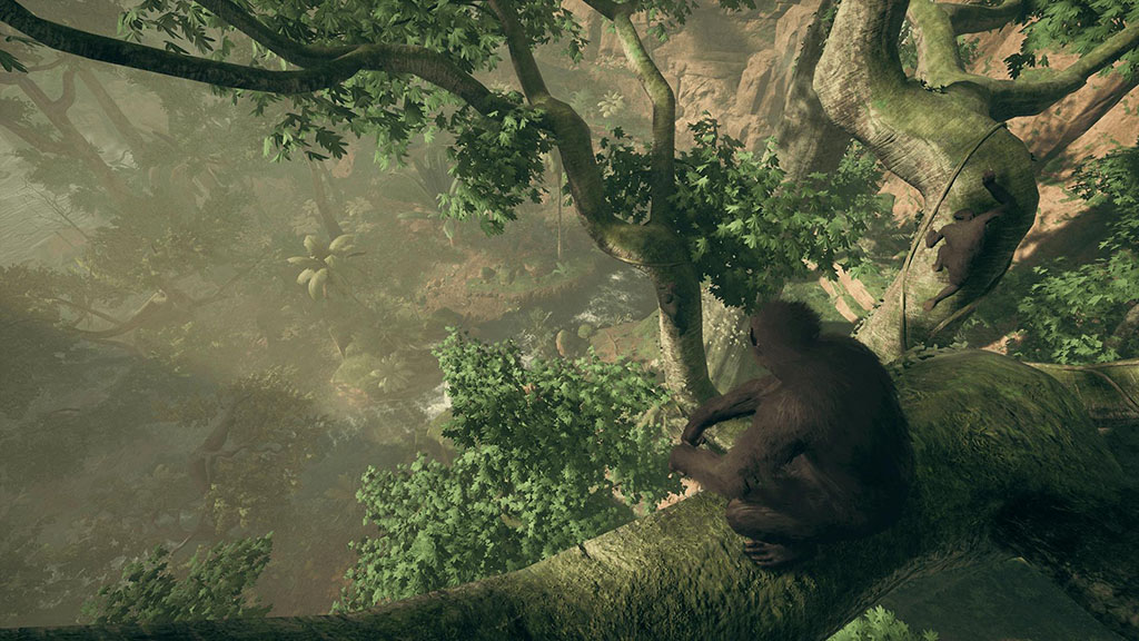 Ancestors: The Humankind Odyssey Giungla