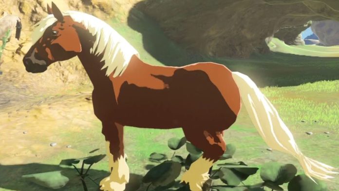 Tears of the Kingdom Epona