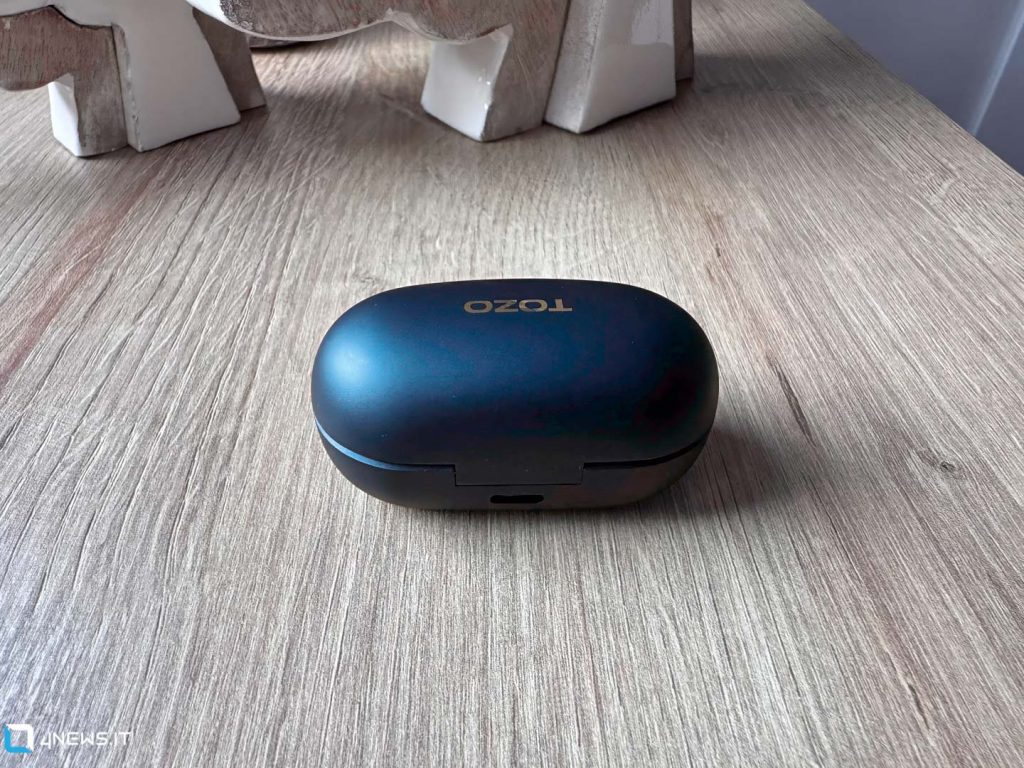 Tozo Golden X1 Case (rear)