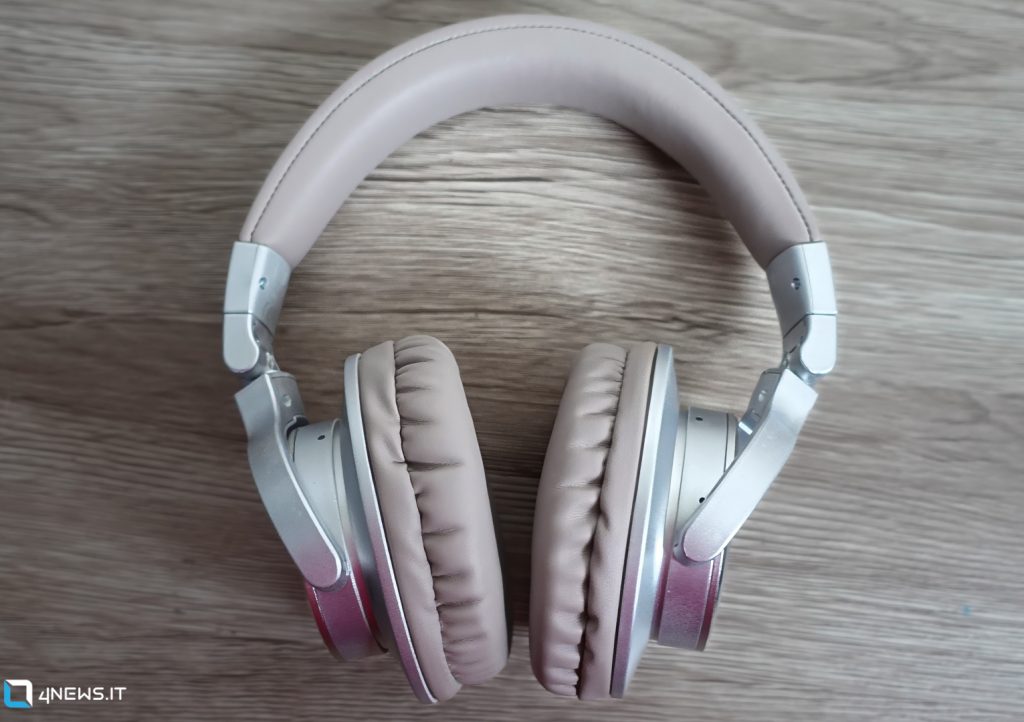 Kiwi Ears Division