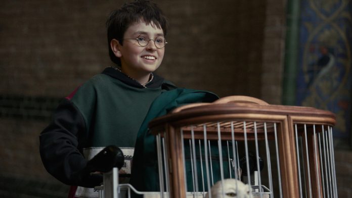 Harry Potter